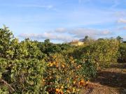 Chalet en venta en Ondara, Alicante Costa Blanca