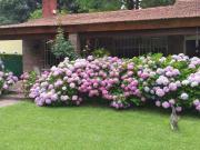 Chalet en venta en Parque Leloir