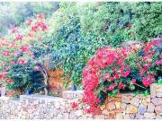 Chalet en Venta en Pedreguer, Alicante