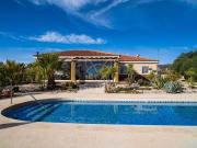 Chalet en venta en Pinoso, Alicante