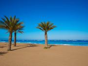 Chalet en venta en Poblets els. Chalets Poblets.