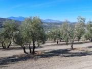 Chalet en venta en Quesada, Rustica Cobatillas