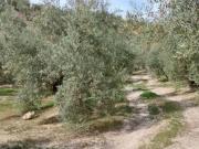 Chalet en venta en Quesada, Rustica La Torrecilla