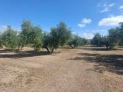 Chalet en venta en Quesada, Rustica Sotana