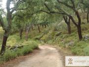 Chalet en venta en Ronda, Ronda