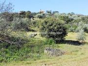 Chalet en venta en San Martín de Pusa, San Martin De Pusa