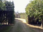 Chalet en venta en Sanlúcar la Mayor. Venta de chalet de...