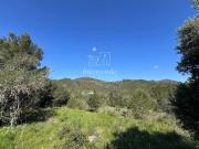 Chalet en venta en Sant Joan de Labritja, Ibiza