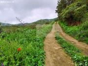 Chalet en Venta en Santa María de Guía de Gran Canaria,...