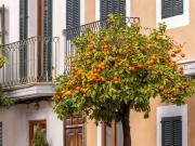 Chalet en venta en Santanyí, Mallorca