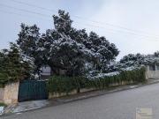 Chalet en venta en Segovia, Centro. Ituero y LamaChalet....