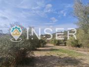 Chalet en venta en Selva