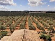 Chalet en venta en Sencelles, Sencelles