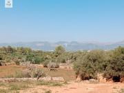 Chalet en venta en Sineu, Sineu