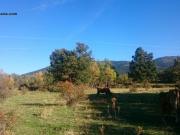 Chalet en venta en Sotosalbos, Sotosalbos