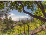 Chalet en Venta en Tijarafe, Santa Cruz de Tenerife