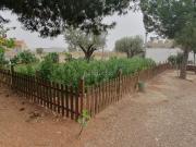 Chalet en venta en Tobarra. CASA DE CAMPO SIERRA...