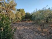 Chalet en venta en Utrera, Pedanías Norte. Venta parcela...