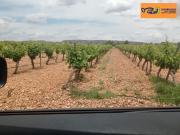 Chalet en venta en Valdepeñas, Carretera Moral Chalet en venta en Valdepeñas, Carretera Moral