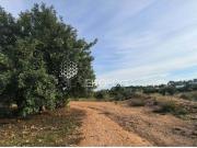 Chalet en Venta en Valencia de las Torres, Valencia