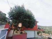 Chalet en venta en Vall llobrega Costa Brava. CHALET A...