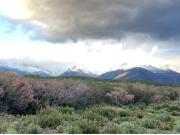 Chalet en Venta en Villanueva de la Vera, Cáceres