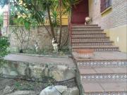 Chalet en venta en Villares Los. CHALET EN LOS VILLARES....