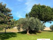 Chalet en venta en Villarreal Vila real, Madrigal....