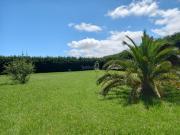 Chalet en venta en Villaviciosa, Tazones Argüero. VENTA...