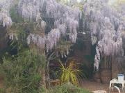 Chalet en venta en Vinaròs, Boverals Saldonar. Chalet en...