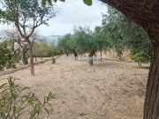 Chalet en venta en Xixona. CHALET CON 55.000 MT A 2 KM...