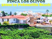 Chalet en venta. TORROX COSTA
