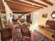 Chalet, Establiments, Palma de Mallorca