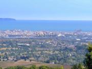 Chalet, Establiments, Palma de Mallorca