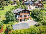 Chalet familial avec grand terrain attenant