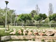 Chalet, Fenals, Castell Platja d&apos Aro