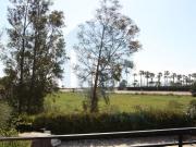 Chalet frente al mar en lAmpolla