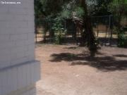 CHALET INDEPENDIENTE