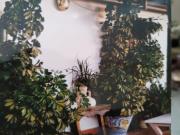 Chalet independiente en Urbanización El Cruce!