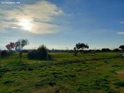 Chalet independiente: Exclusividad y diseño en...