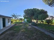 CHALET INDEPENDIENTE, PARCELA 3.000 M2 EN PEDREZUELA !