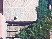 Chalet Independiente Venta Albacete