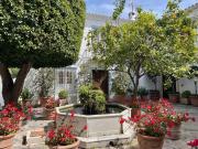 Chalet, La Carolina Guadalpín, Marbella