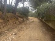 Chalet, Les Borges del Camp