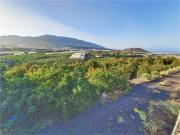 Chalet, Los Llanos de Aridane