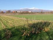 Chalet, Losar de la Vera