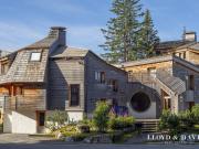 CHALET LUXE & PRESTIGE AVORIAZ