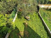 Chalet, Manlleu