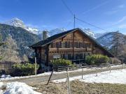 Chalet mit 4 Wohnungen und seinem prächtigen Grundstück