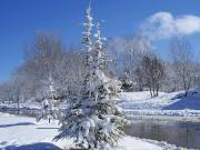 Chalet mitoyen dans residence fermee